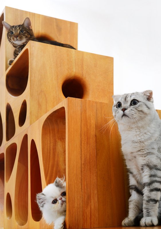   CATable 2.0